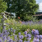 Feriendomizil Alter Garten * Temmen-Ringenwalde