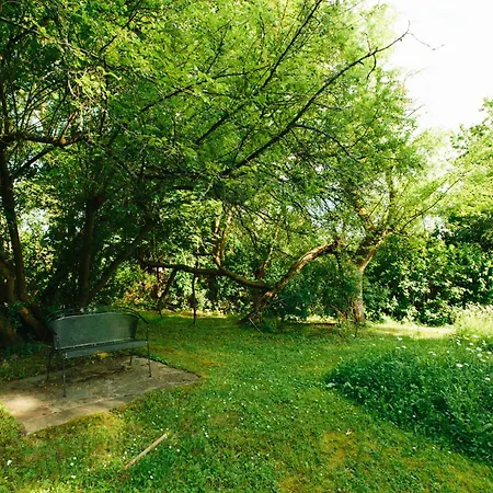 Feriendomizil Alter Garten Apartment