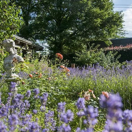 Feriendomizil Alter Garten * Temmen-Ringenwalde