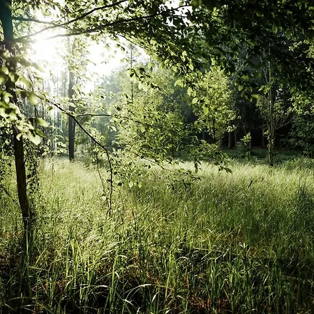 Feriendomizil Alter Garten Apartment *