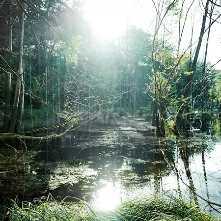 Feriendomizil Alter Garten *