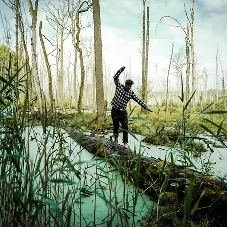 Feriendomizil Alter Garten Temmen-Ringenwalde