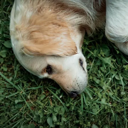 Apartamento Feriendomizil Alter Garten