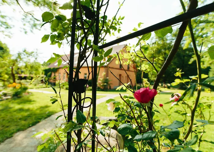 アパート Feriendomizil Alter Garten