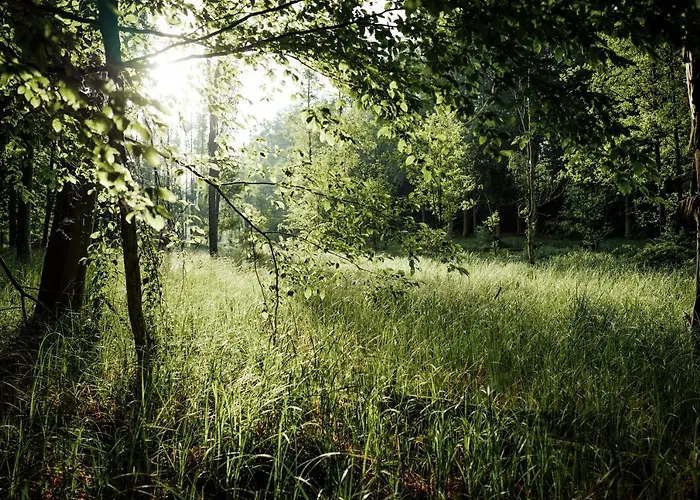 Feriendomizil Alter Garten Appartement *