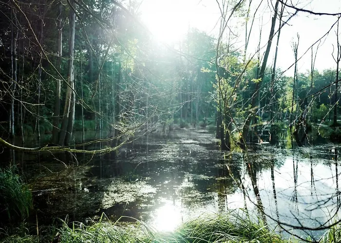 Feriendomizil Alter Garten *